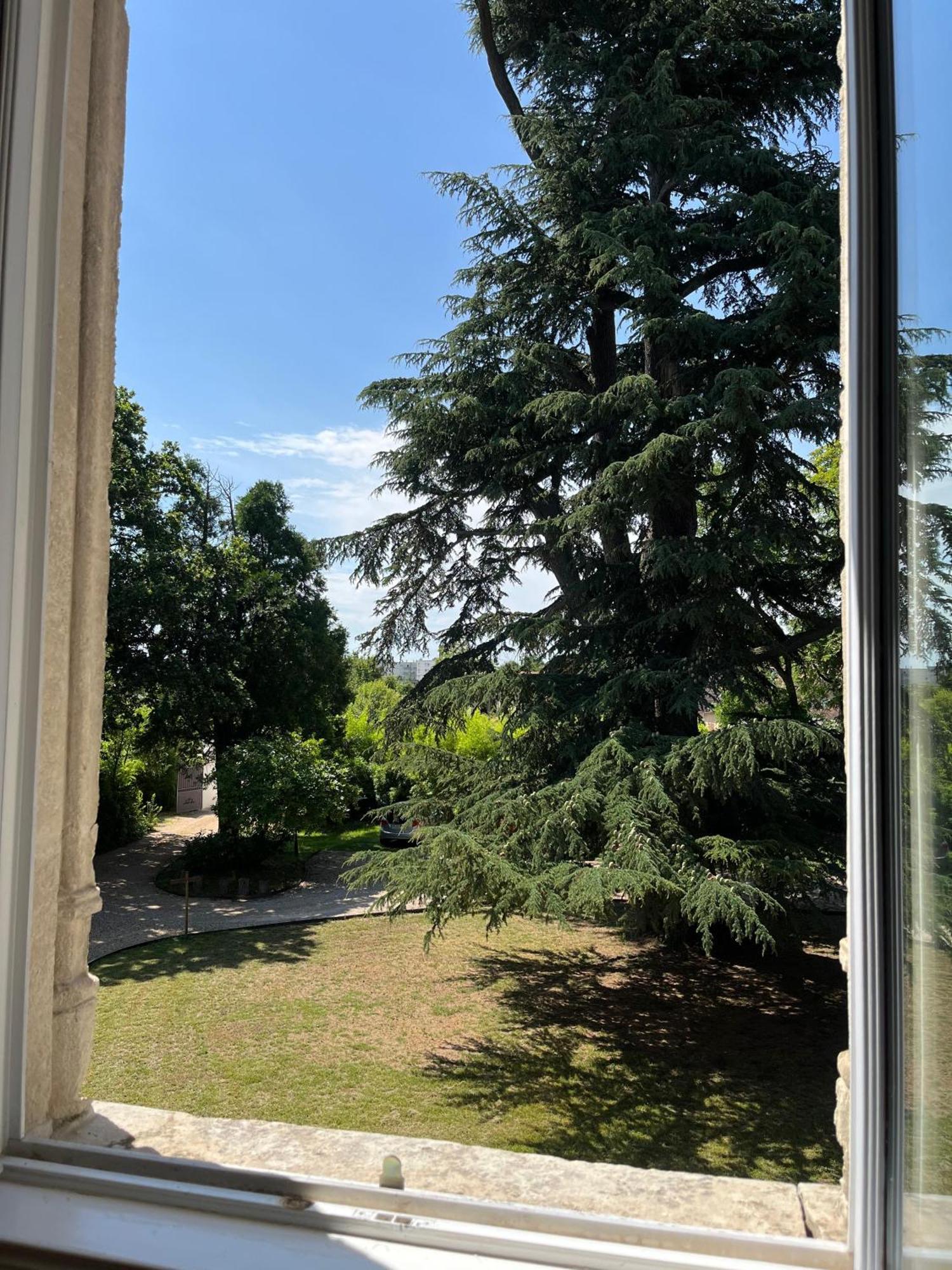 Le Clos Du Cedre Saint-Ouen  ภายนอก รูปภาพ